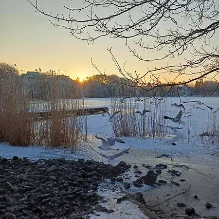 Appartement Schloonseevillen, Whg 20