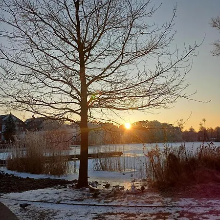 Schloonseevillen, Whg 20 Appartement